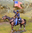 Union Cavalry Flagbearer
