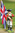 British Grenadier Flagbearer