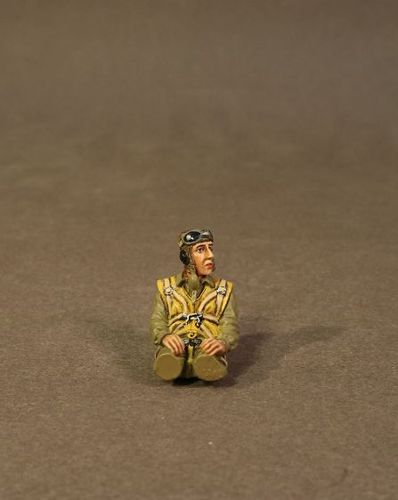 PILOT SEATED LOOKING LEFT. (1pc)