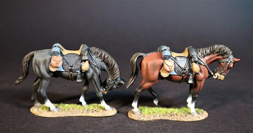 THE ARMY OF NORTHERN VIRGINIA, CAVALRY DIVISION, CAVALRY HORSES. (2 pcs)