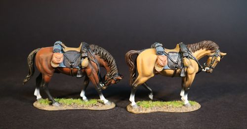 THE ARMY OF NORTHERN VIRGINIA, CAVALRY DIVISION, CAVALRY HORSE. (1 pc)
