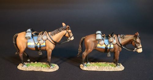 THE BATTLE OF THE ROSEBUD, 17th JUNE 1876, ARMY MULES. (2 pcs)