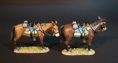THE BATTLE OF THE ROSEBUD, 17th JUNE 1876, ARMY MULES. (2 pcs)